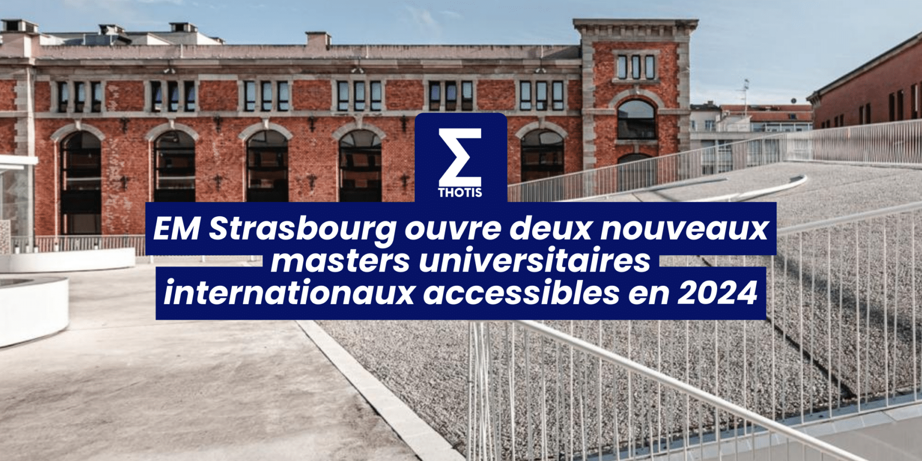 EM Strasbourg ouvre deux nouveaux masters universitaires internationaux accessibles en 2024 2