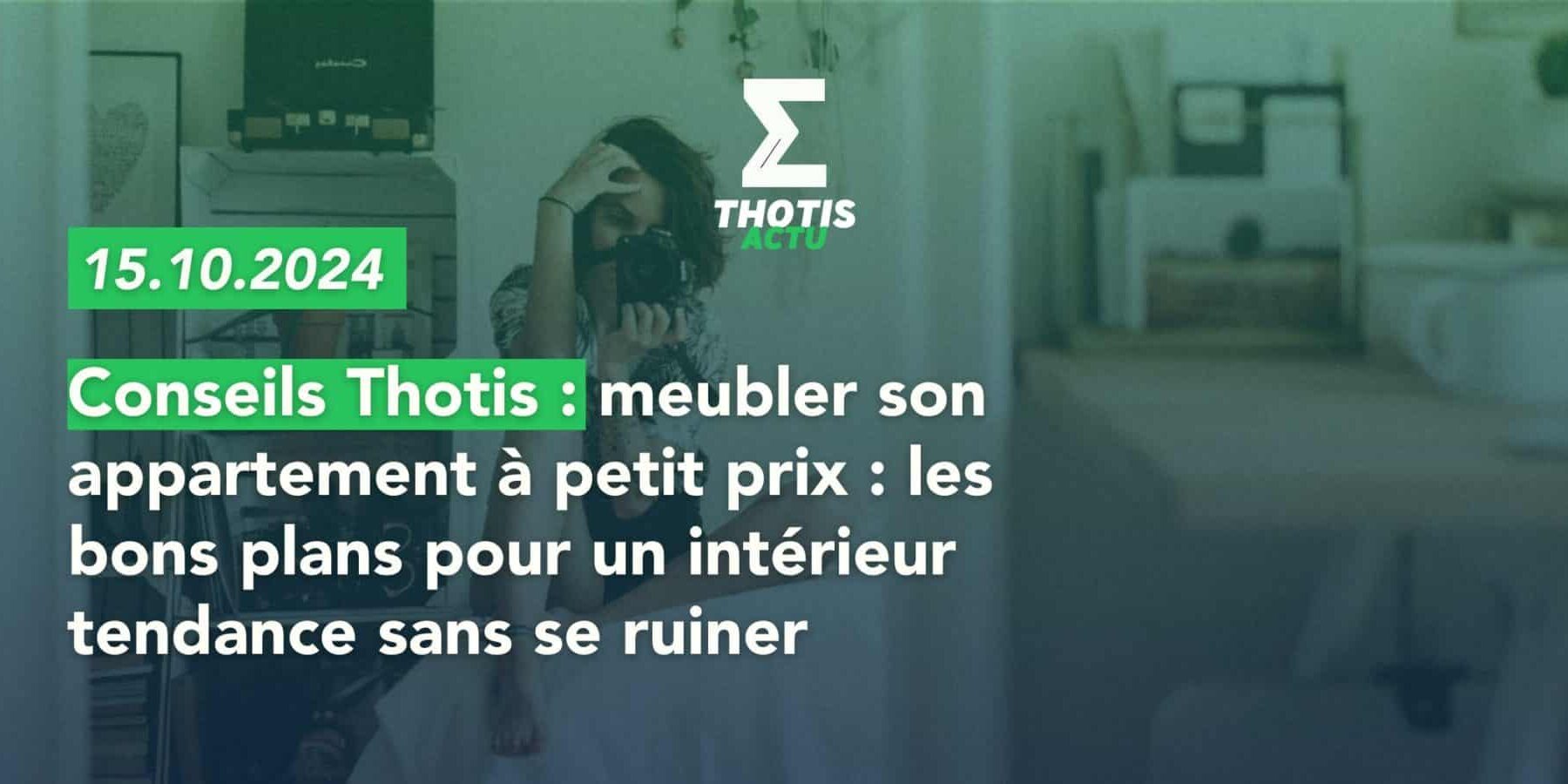 Conseils Thotis meubler son appartement à petit prix les bons plans pour un intérieur tendance sans se ruiner Conseils Thotis meubler son appartement à petit prix les bons plans pour un intérieur tendance sans se ruiner