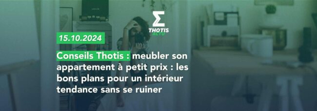 Conseils Thotis meubler son appartement à petit prix les bons plans pour un intérieur tendance sans se ruiner