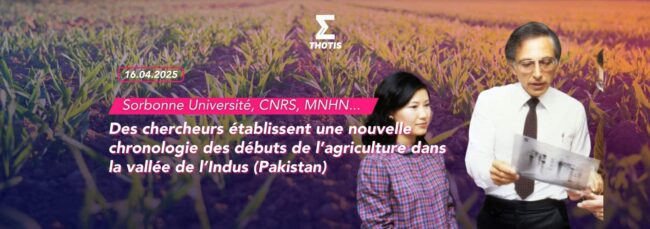 Des chercheurs établissent une nouvelle chronologie des débuts de l’agriculture dans la vallée de l’Indus (Pakistan)