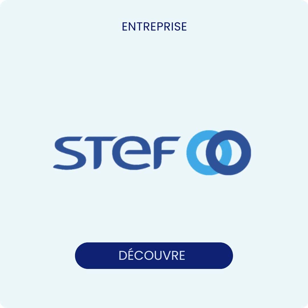 Logo Entreprise STEF