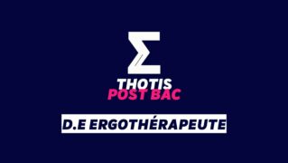 D.E Ergothérapeute D.E Ergothérapeute