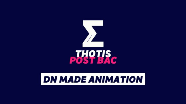 DN MADE ANIMATION DN MADE ANIMATION