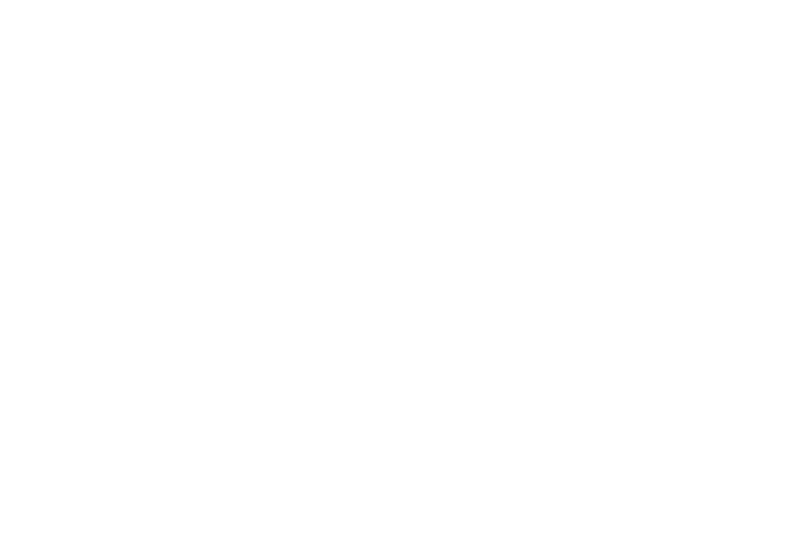 Logo IPAG BLANC