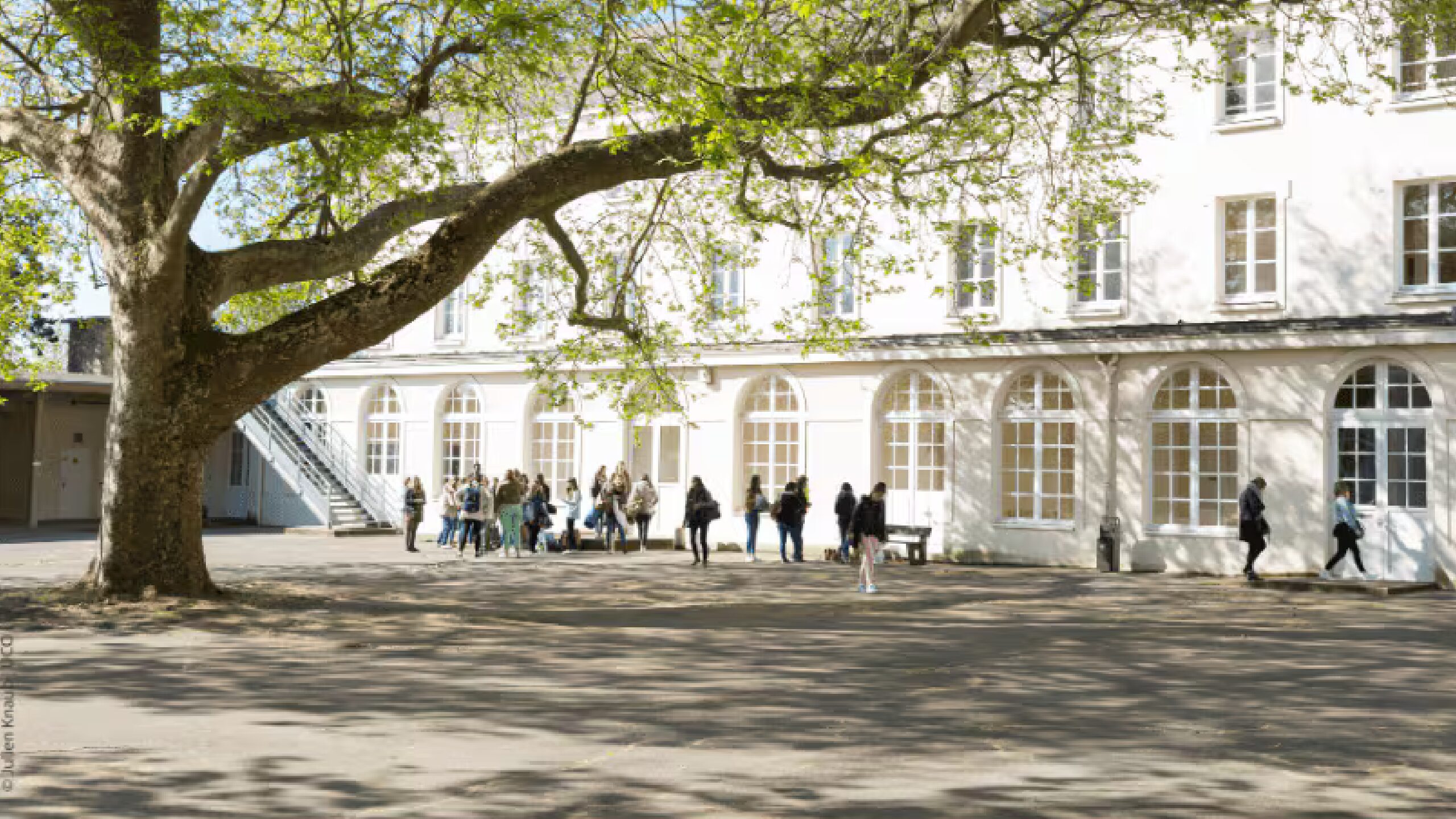 Design sans titre (11)
