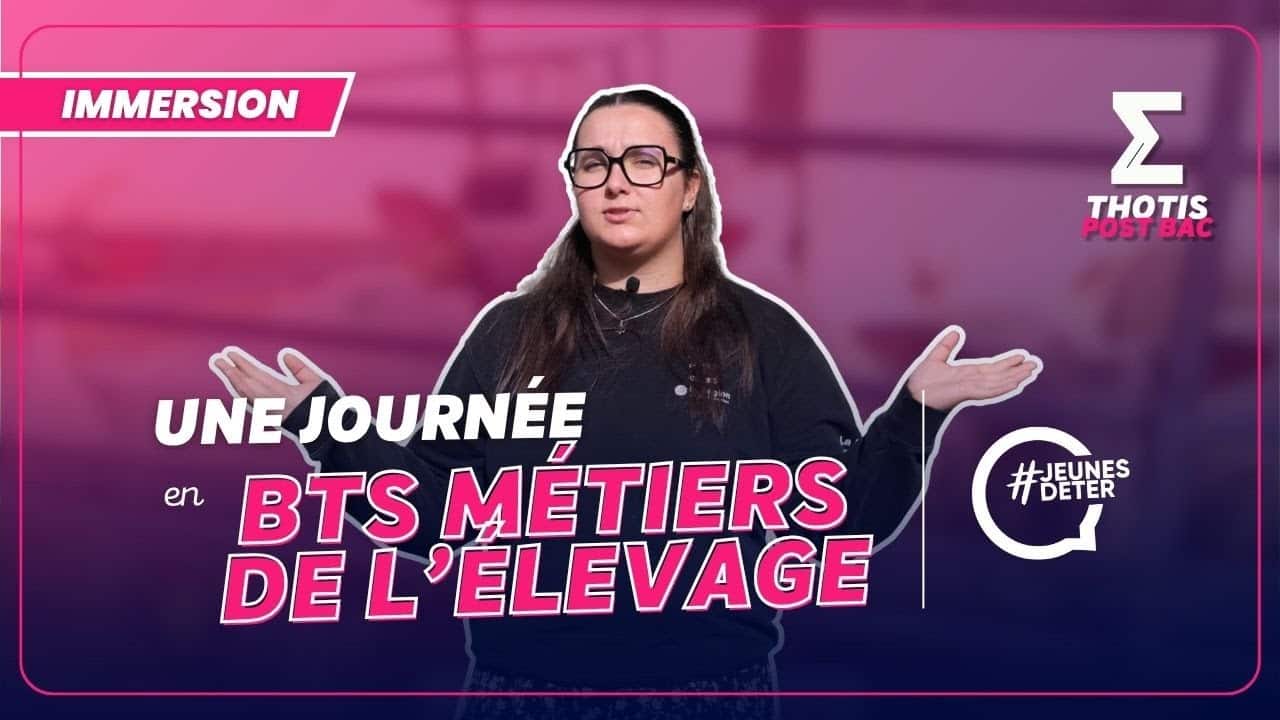 Bts elevage