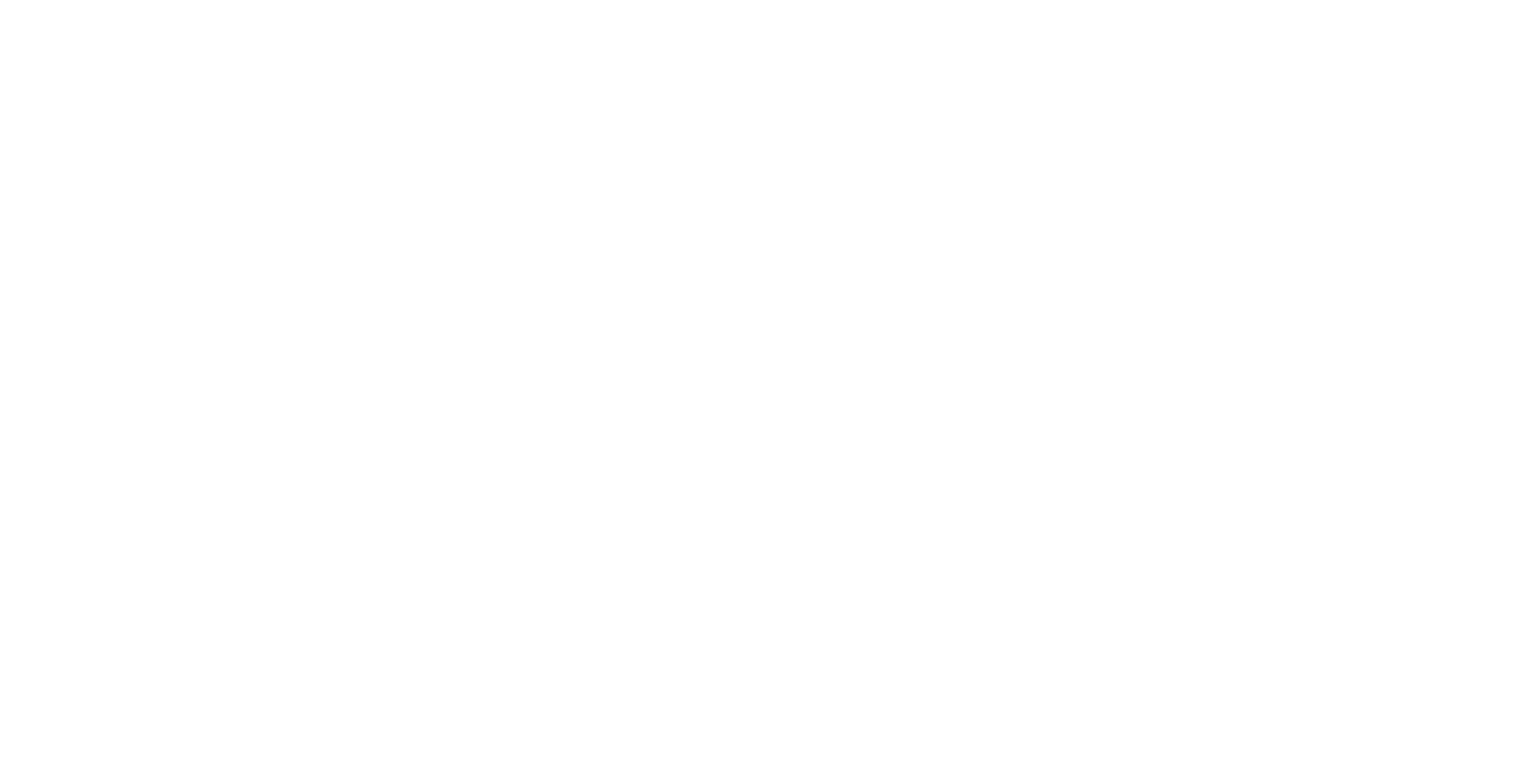 LUNEX Logo Bildmarke white