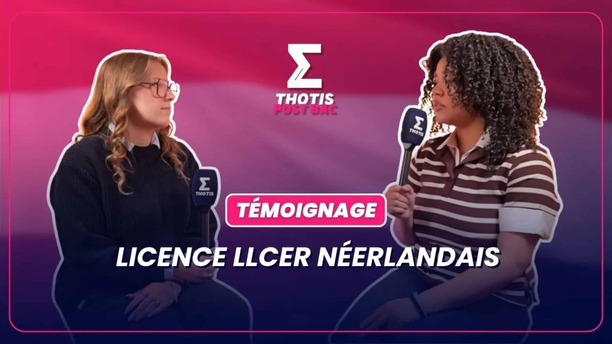 Licence LLCER néerlandais témoignage