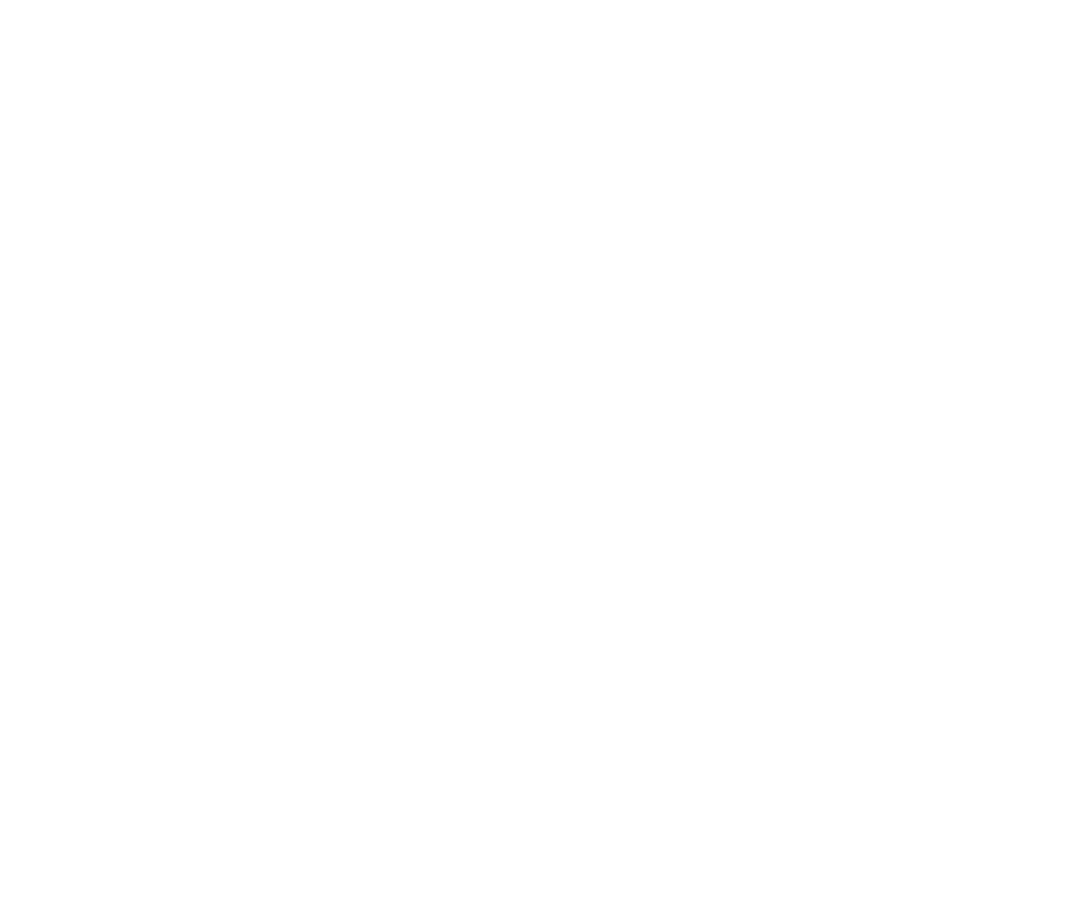 OCAPIAT JD entier blanc
