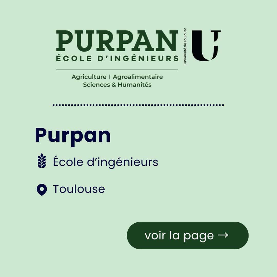 Purpan