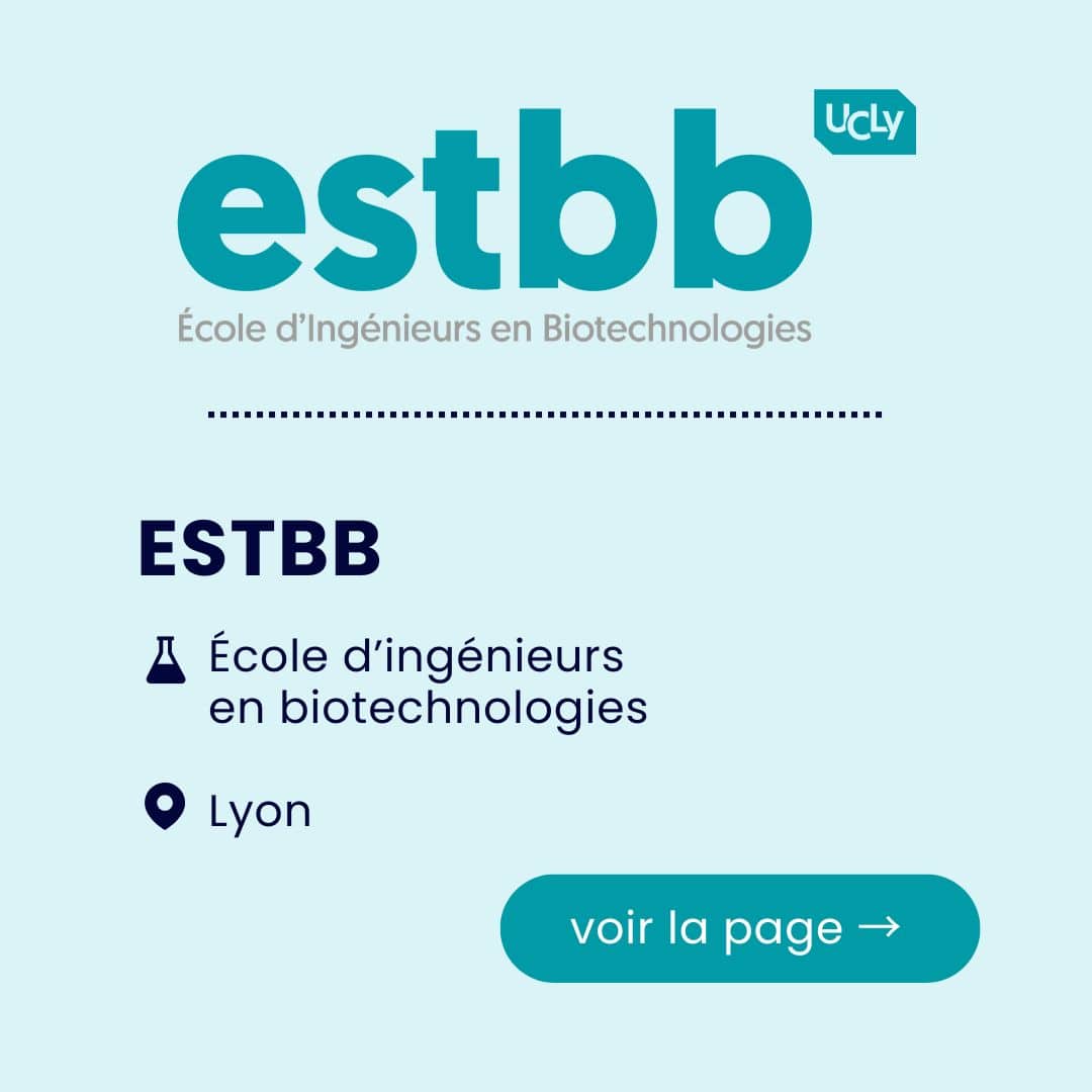 Estbb
