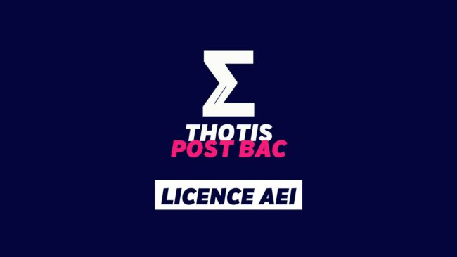 licence AEI