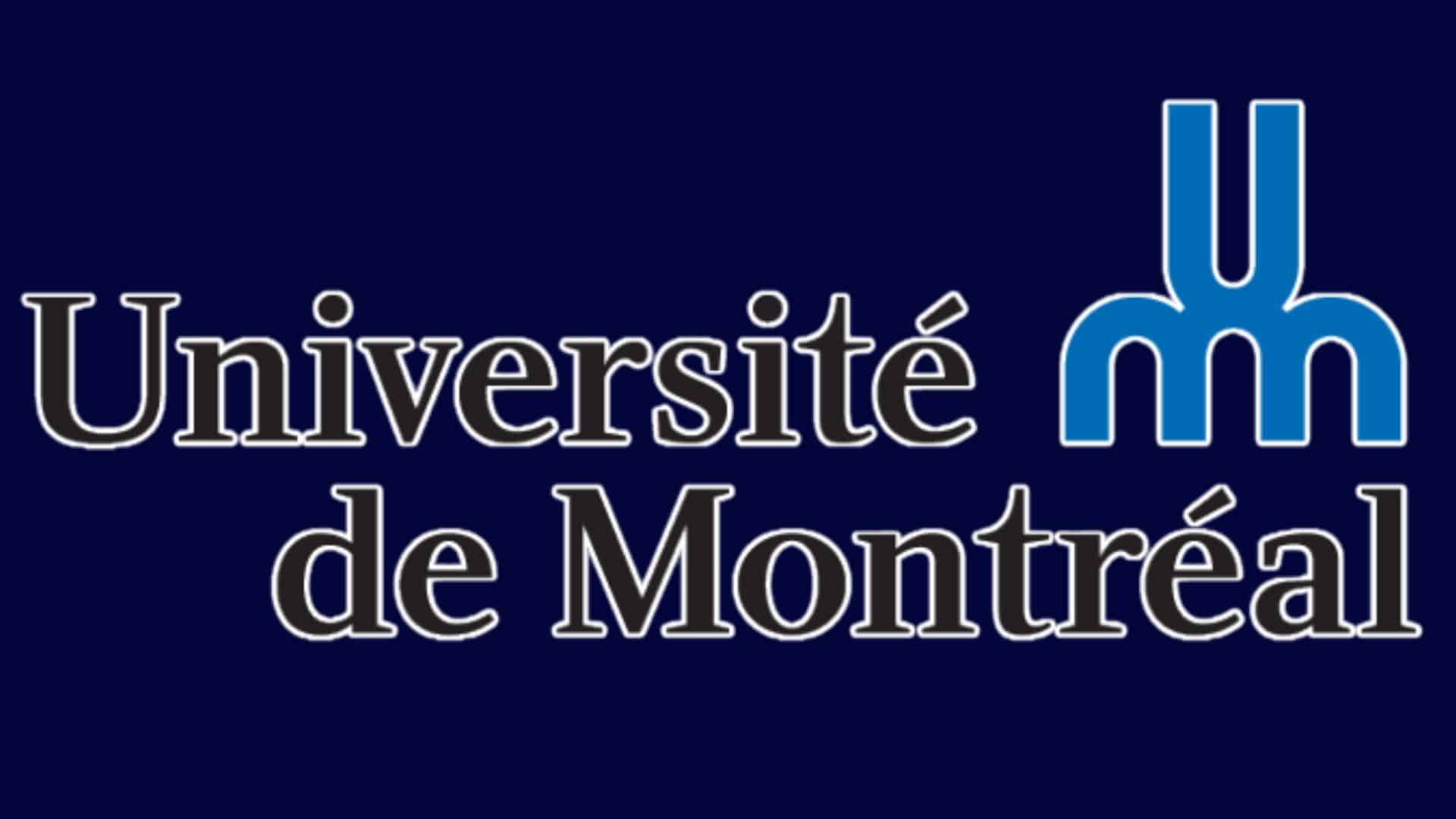Logo ESIEE IT