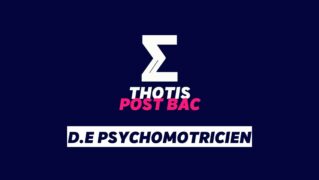 D.E psychomotricien D E psychomotricien