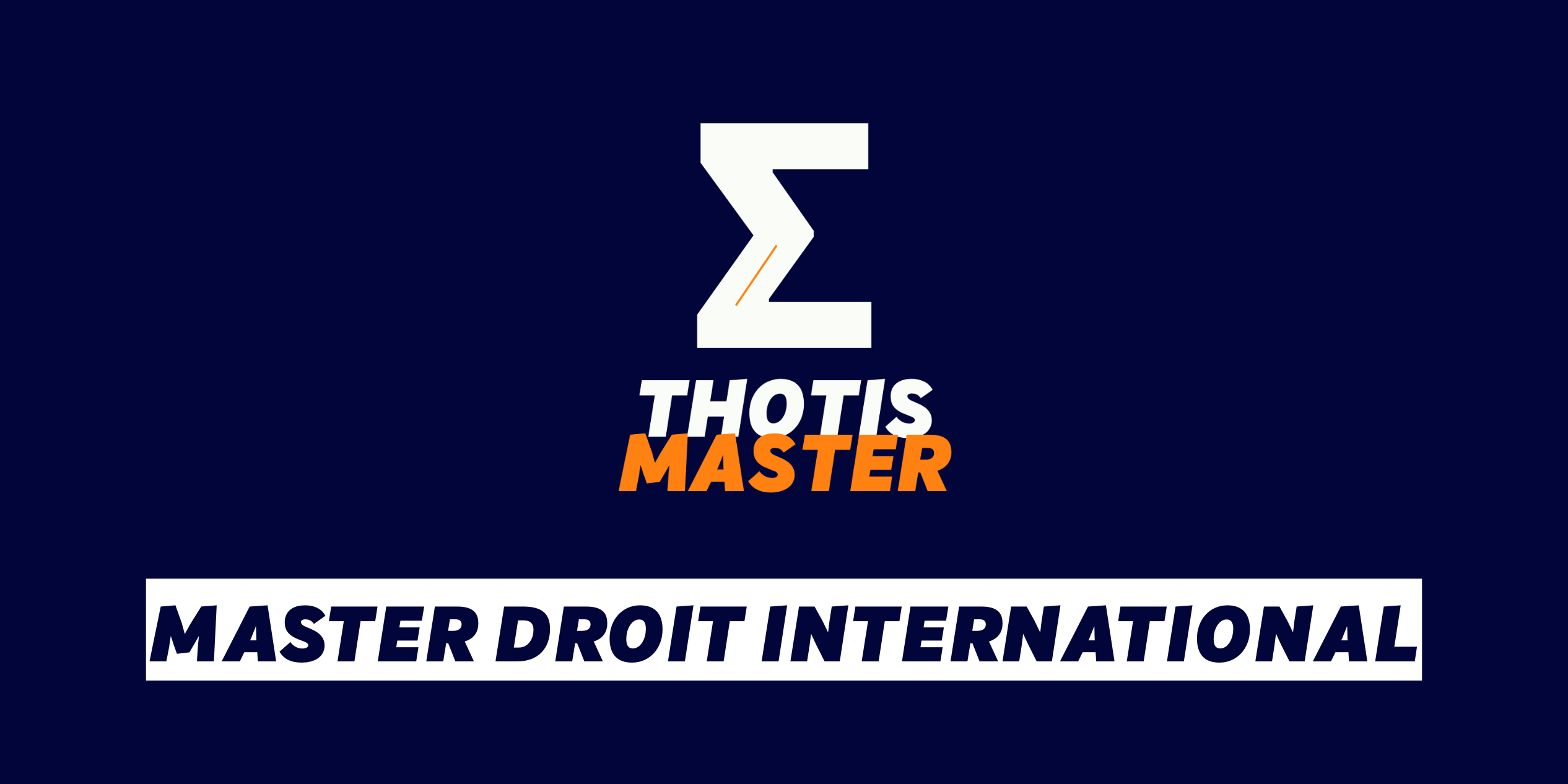 Master Droit international